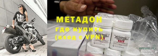 прущие грибы Абинск