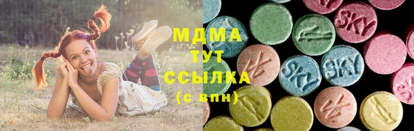 индика Абаза