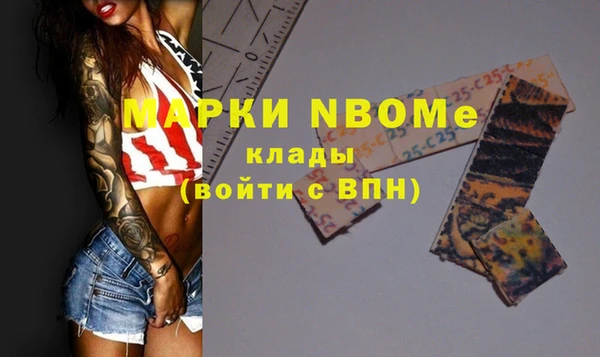 прущие грибы Абинск