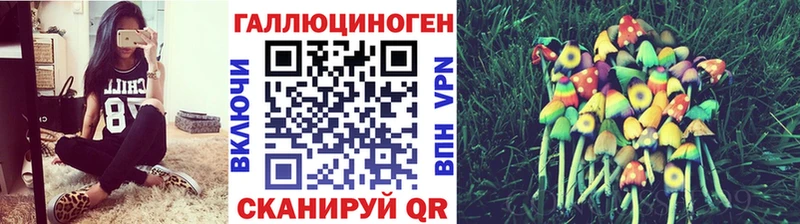 гидра онион  Советская Гавань  Галлюциногенные грибы GOLDEN TEACHER 